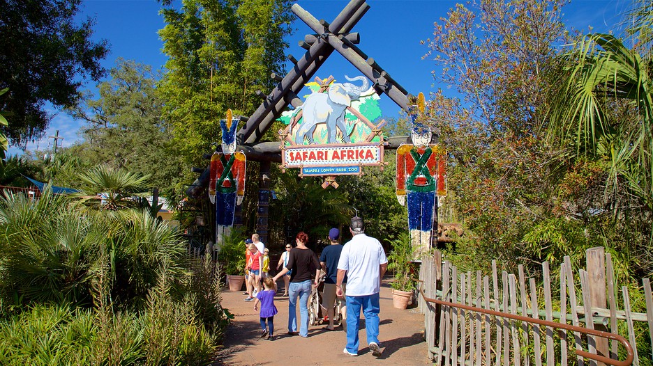 Lowry Park Zoo in Tampa, Florida Expedia