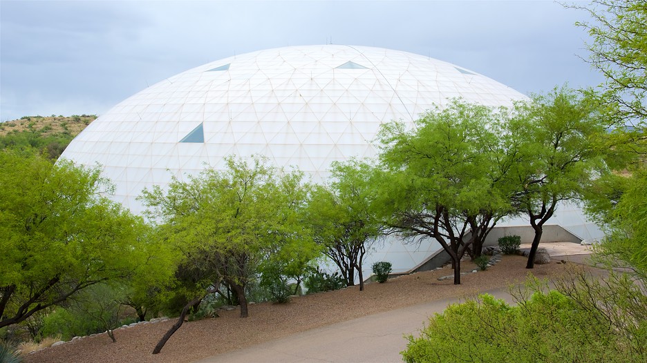 生物圈2号 - 图森 (及附近地区) - tourism media