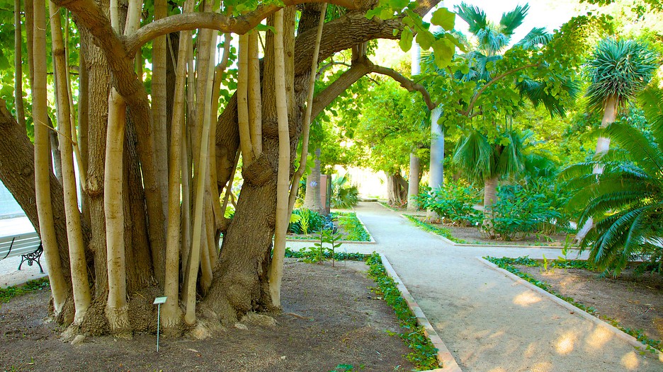Valencia Botanical Gardens in Valencia, Expedia