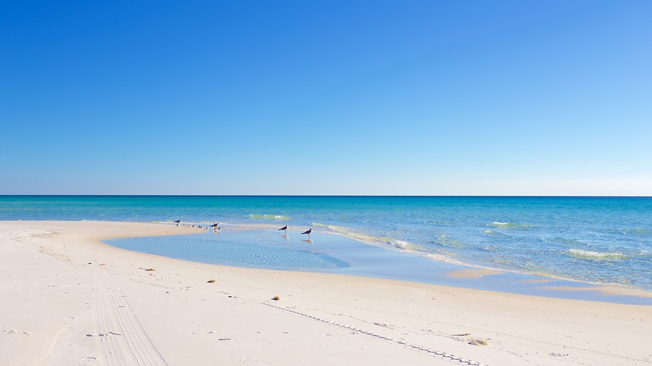 Grayton Beach Florida Hotels Grayton Beach Florida Hotels