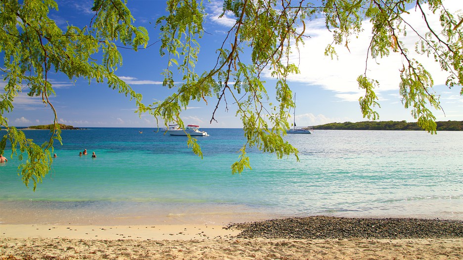 Vieques Island Vacations 2017 Package & Save up to 603 Expedia