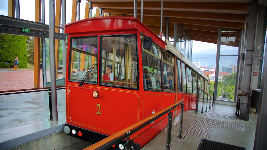 威灵顿 wellington cable car | expedia.com.hk