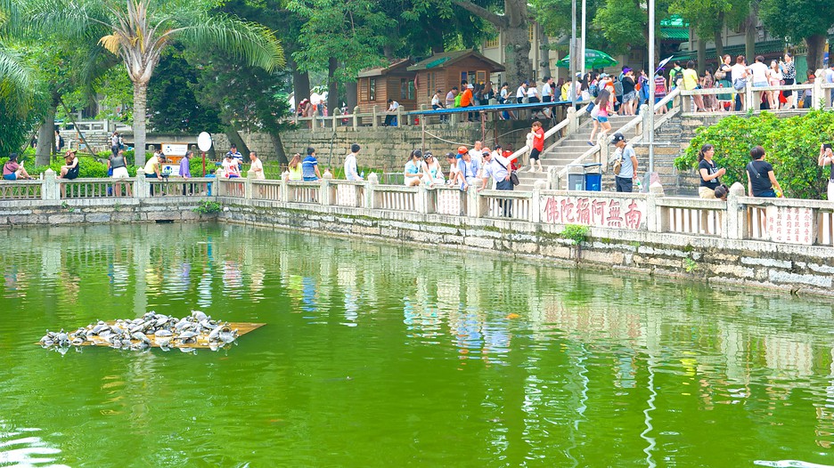 Tìm hiểu về Miếu Nam Phổ Độ cùng vé máy bay đi Hạ Môn Nanputuo-Temple-71327