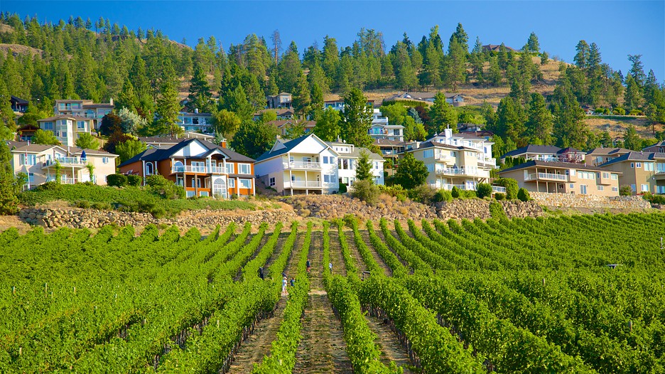 Kelowna Vacations 2017 Package & Save up to 603 Expedia