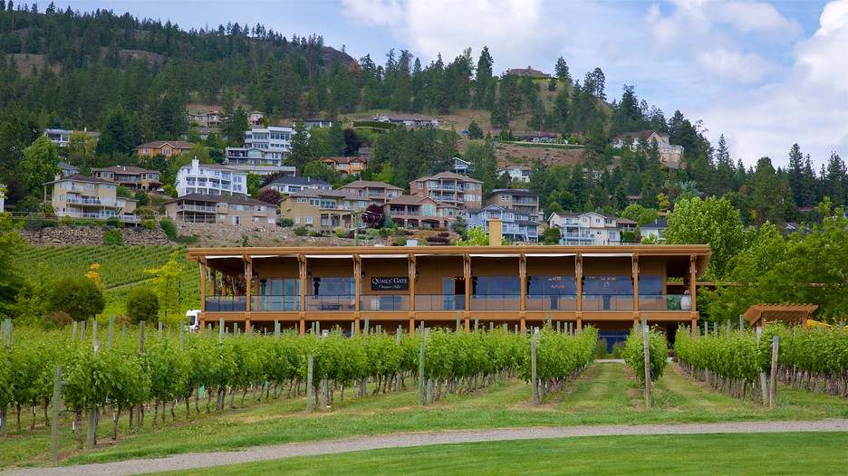 Quails' Gate Estate Winery in Kelowna, British Columbia Expedia.ca