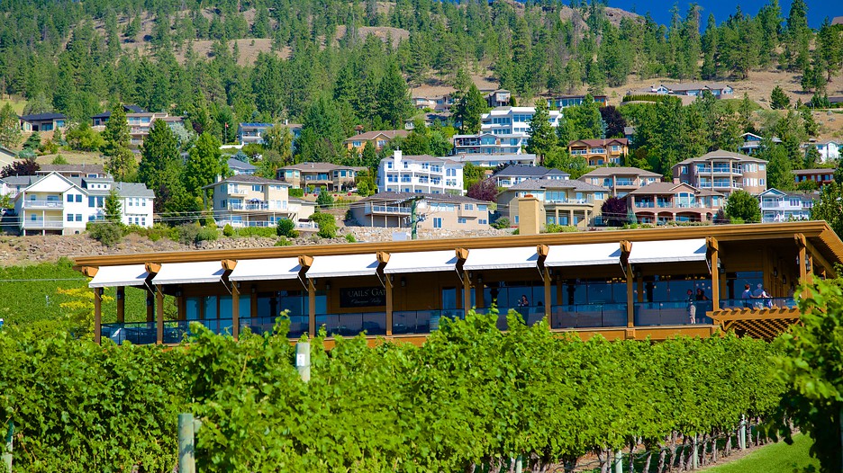 Quails' Gate Estate Winery in Kelowna, British Columbia Expedia.ca