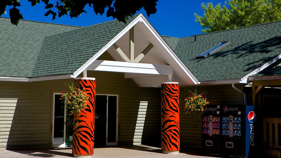 Hill Zoo in Moncton, New Brunswick Expedia.ca