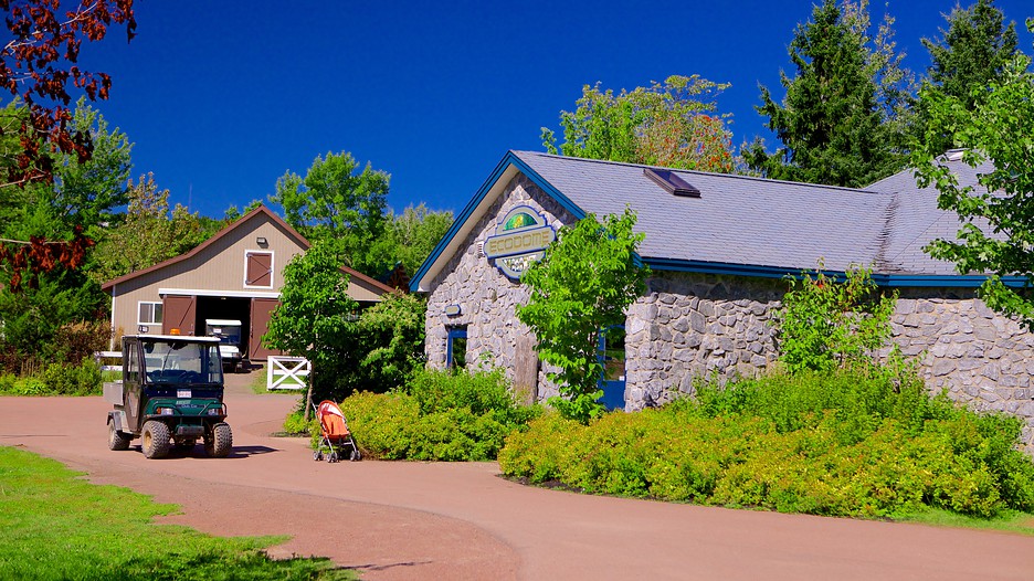 Hill Zoo in Moncton, New Brunswick Expedia.ca