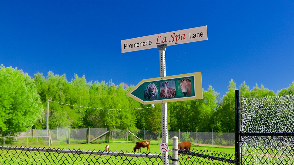 Hill Zoo in Moncton, New Brunswick Expedia.ca