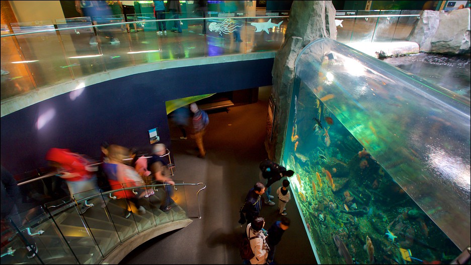 Vancouver Aquarium in Vancouver, British Columbia Expedia.ca