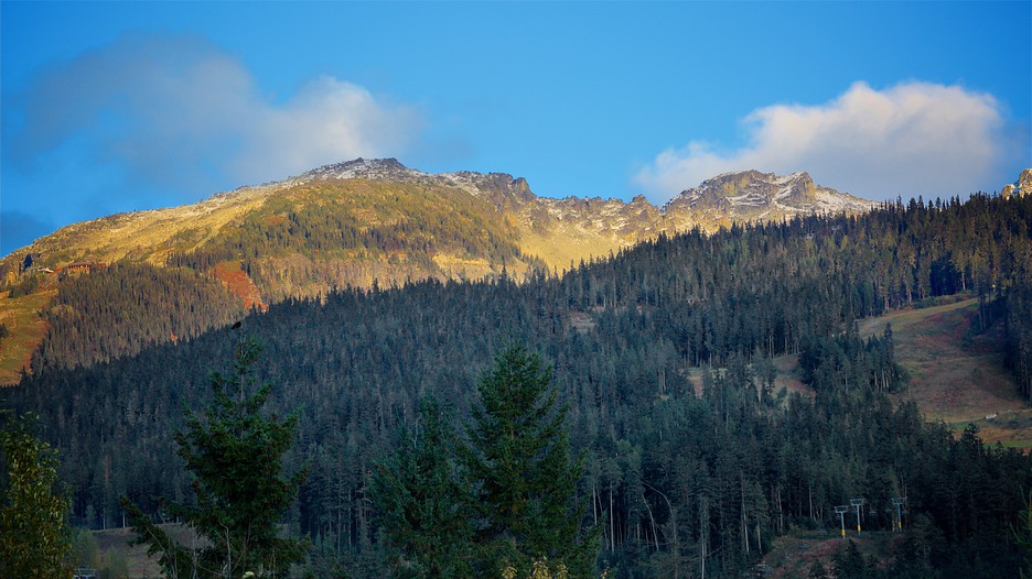 st louis inns near airport