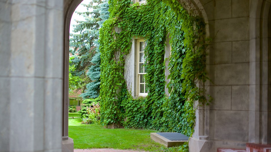 Deals in london ontario