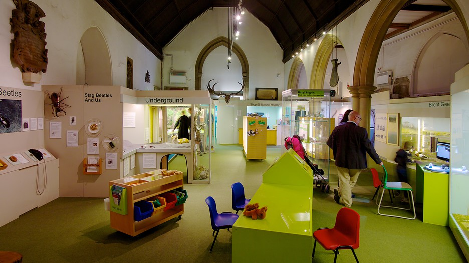 Colchester Natural History Museum Colchester Colchester Natural History Museum Colchester