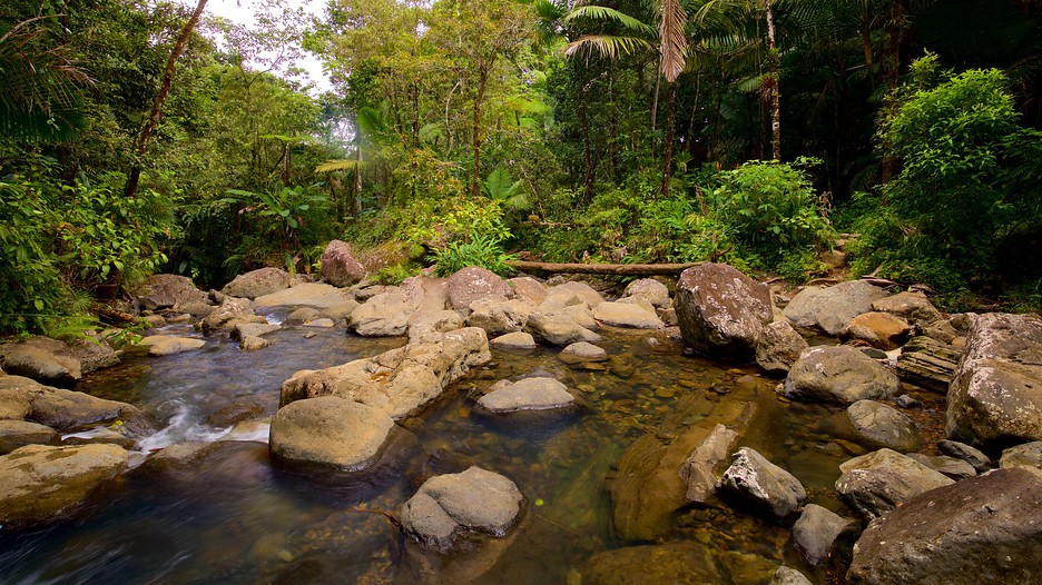 el yunque national forest rio grande expedia el yunque national forest rio grande expedia