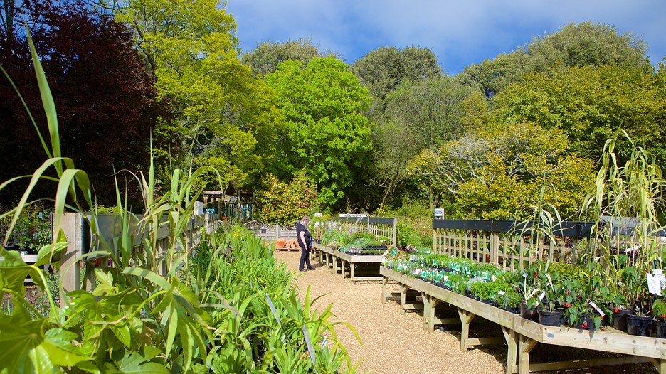 Abbotsbury SubTropical Gardens in Weymouth, England Expedia