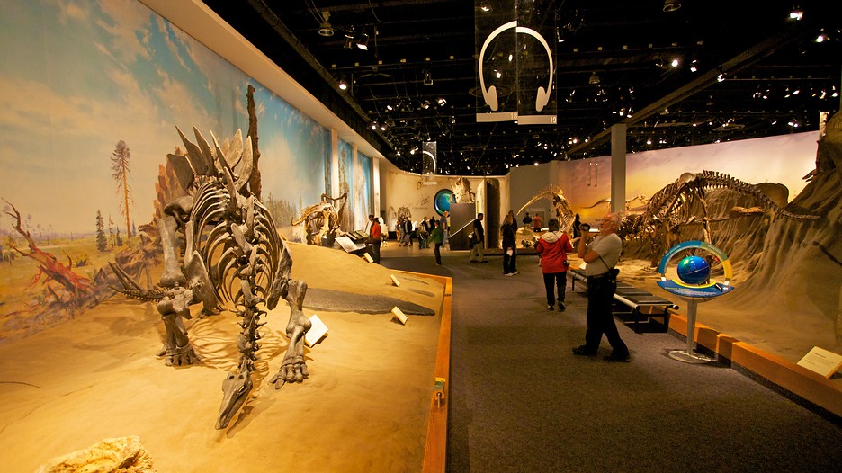 the tyrrell museum