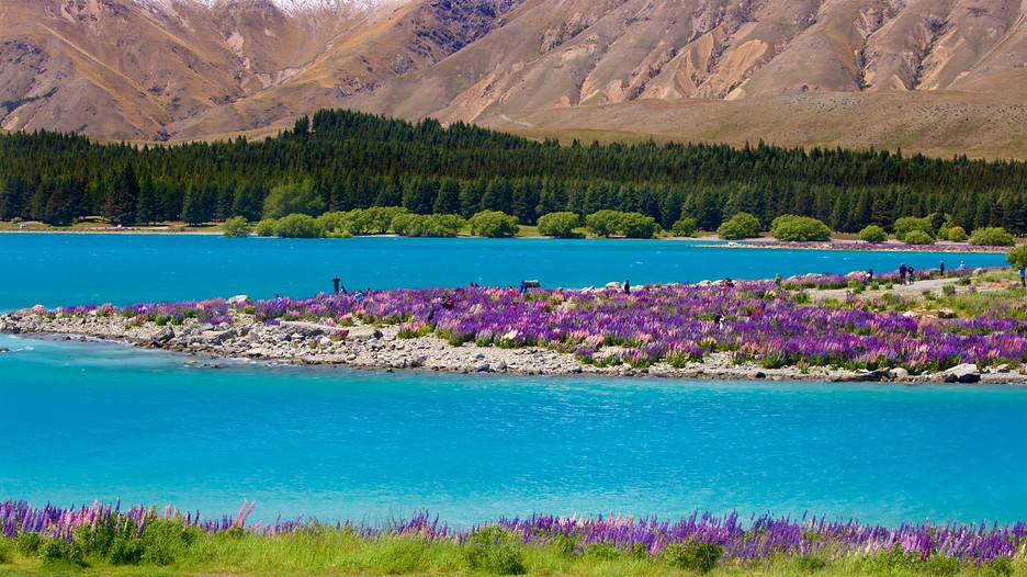Lake Tekapo Hotels Lake Tekapo Hotels