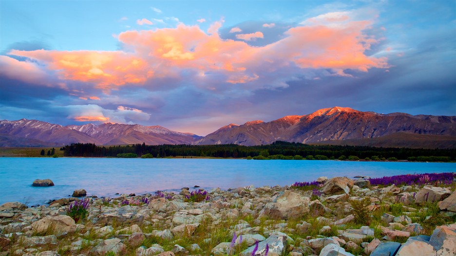 Lake Tekapo Holidays: Cheap Lake Tekapo Holiday Packages & Deals