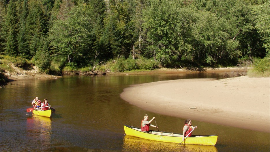 reasonably-priced inns in midtown ny the big apple