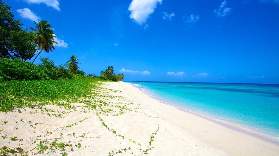 Paradise Beach em Bridgetown, Barbados | Expedia.com.br