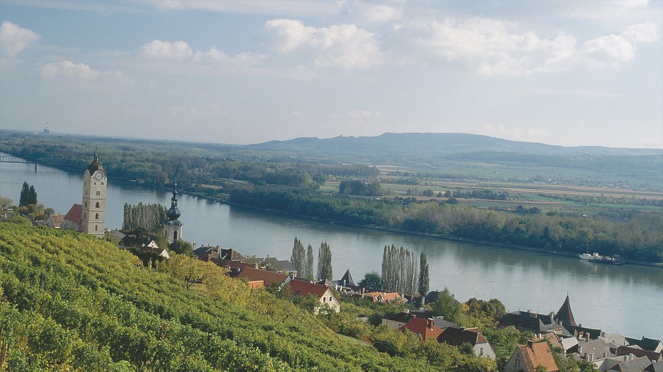 Singles krems an der donau
