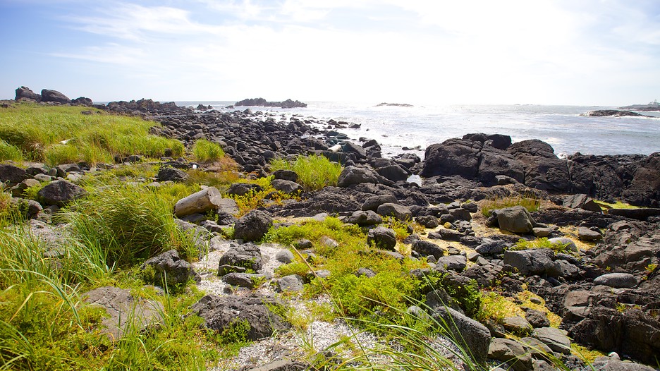 Ucluelet Car Rental Ucluelet Car Rental