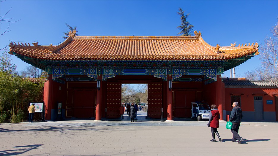 Exibindo item 5 de 25 Parque de Jingshan (Yingshan Gongyuan) - Pequim (e arredores) - Tourism Media