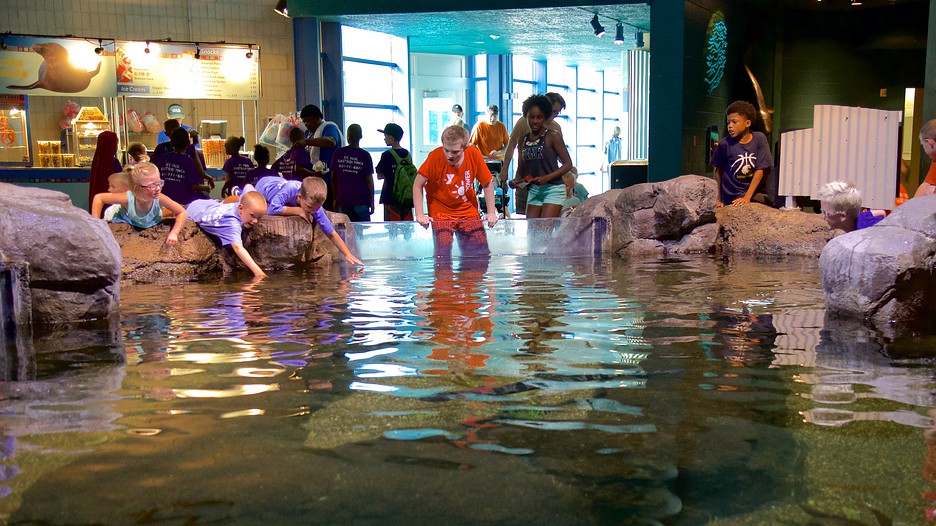 Minnesota Zoo in Apple Valley, Minnesota Expedia