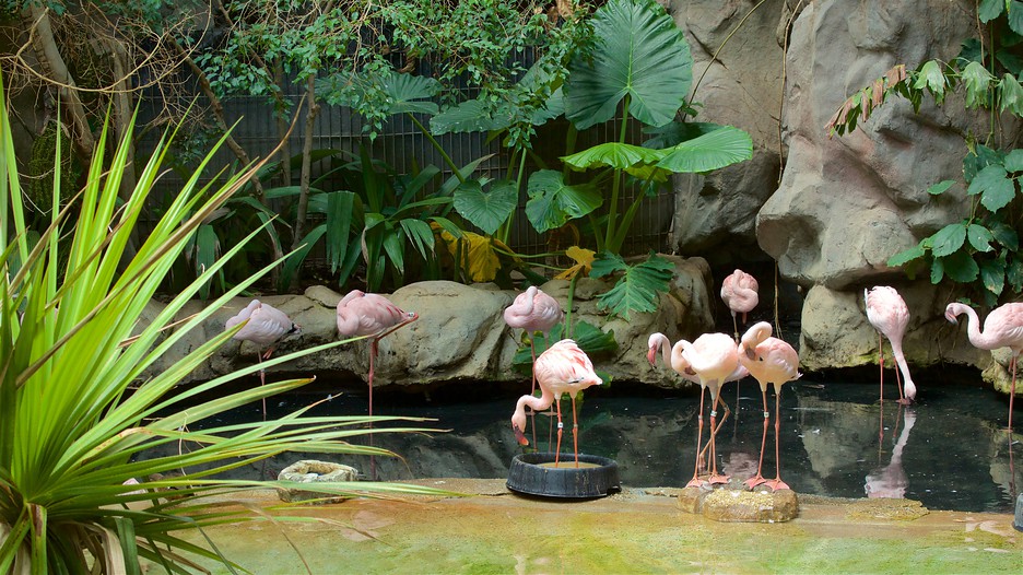 Minnesota Zoo in Apple Valley, Minnesota Expedia