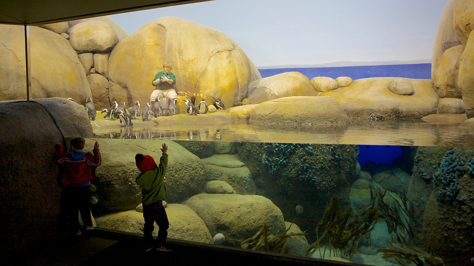 Minnesota Zoo Apple Valley Minnesota Attraction Expedia au Minnesota Zoo Apple Valley Minnesota Attraction Expedia au