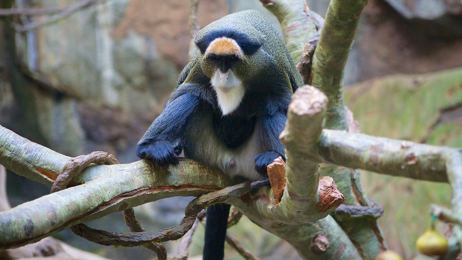 Minnesota Zoo In Apple Valley Minnesota Expedia Minnesota Zoo In Apple Valley Minnesota Expedia
