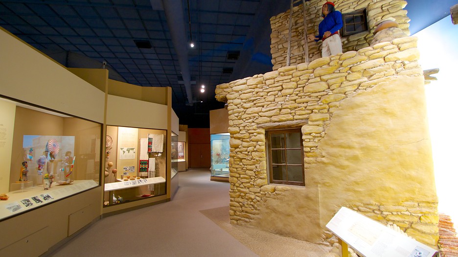 卡内基自然史博物馆 - 匹兹堡 (及附近地区) - tourism media