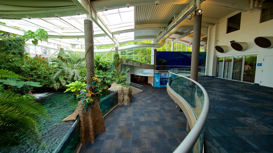 Pittsburgh Zoo and PPG Aquarium in Pittsburgh, Pennsylvania Expedia