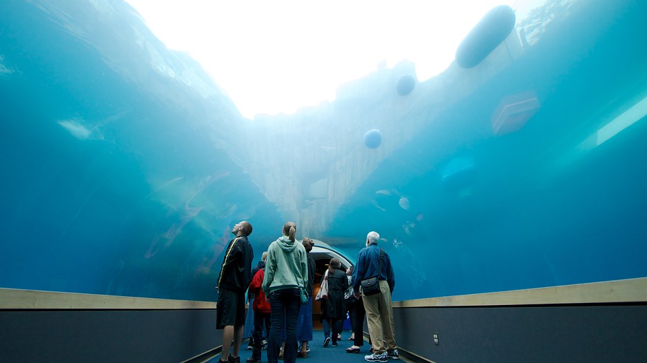 Pittsburgh Zoo and PPG Aquarium in Pittsburgh, Pennsylvania Expedia