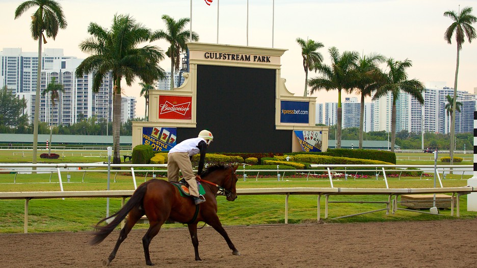 Gulfstream Park Horse Racing