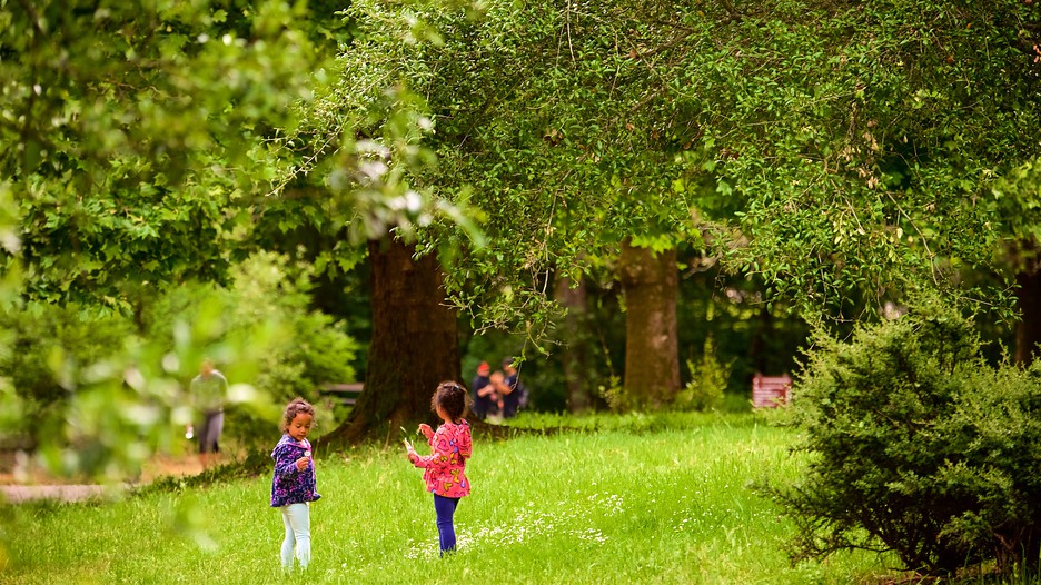 mystery resorts london found out