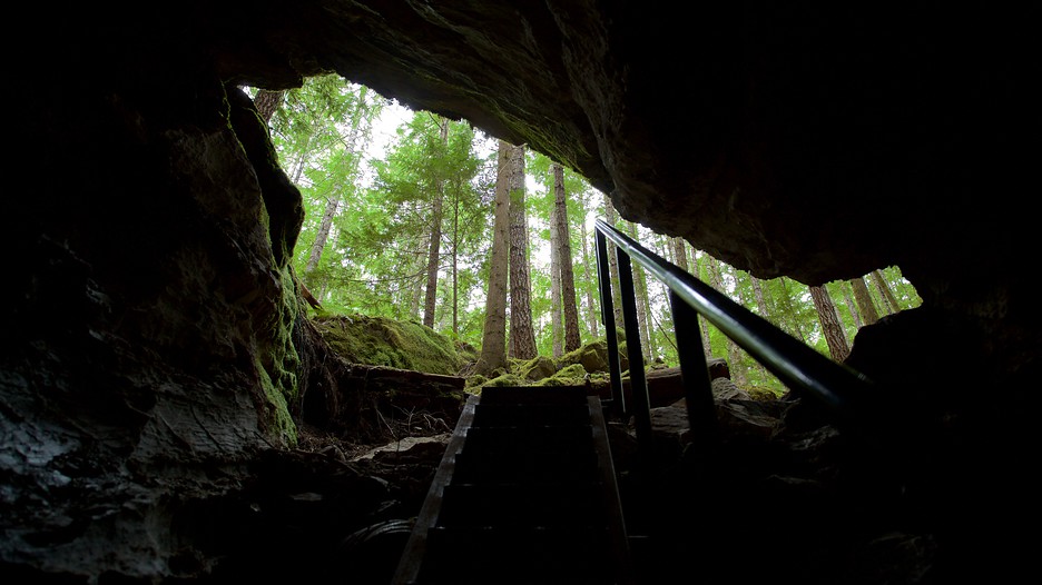 Horne Lake Caves Provincial Park in Bowser, British Columbia Expedia