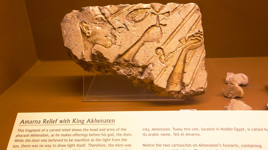 Rosicrucian egyptian museum coupons