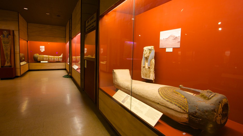 Rosicrucian egyptian museum coupons