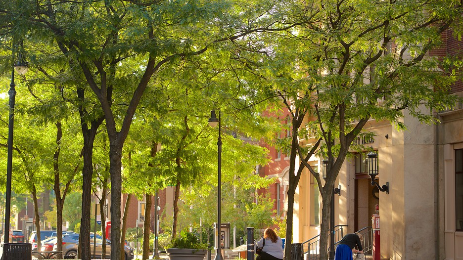 tourism manchester hampshire vacations tourism manchester hampshire vacations