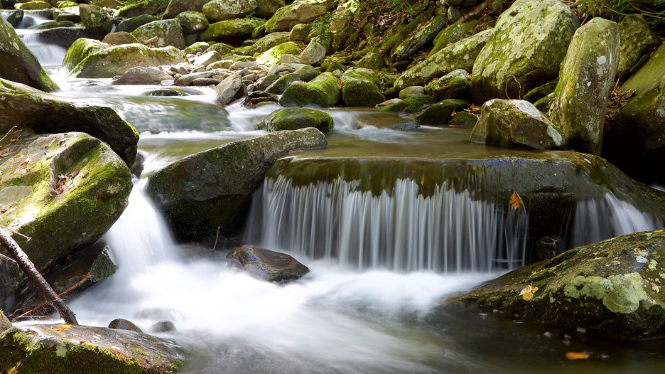 Great Smoky Mountains National Park Vacations 2017: Package & Save up