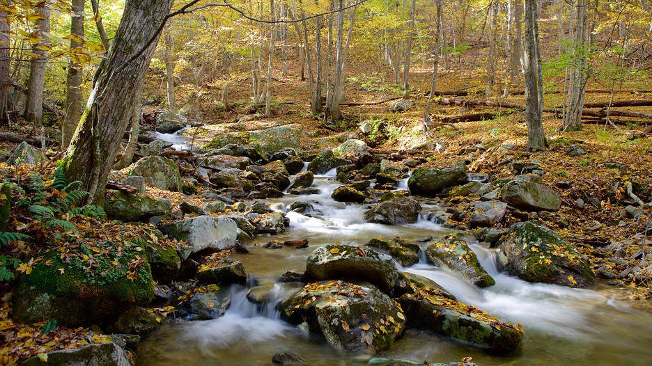 Shenandoah National Park Hotels Shenandoah National Park Hotels