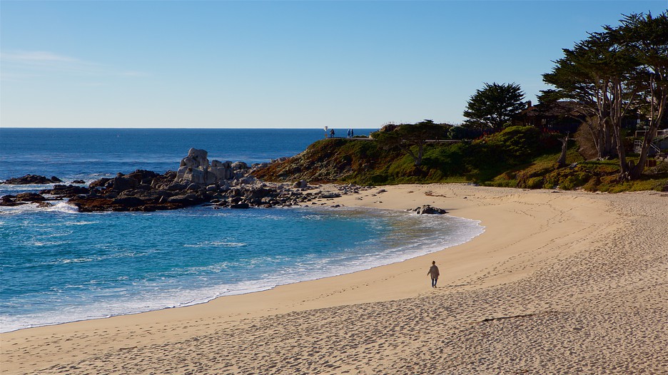 Carmel Beach California Images Carmel Beach California Images