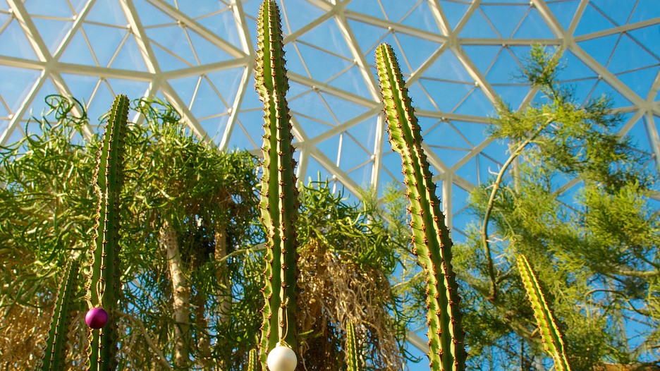 Mitchell Park Horticultural Conservatory in Milwaukee 