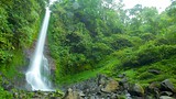 Showing item 13 of 20. Gitgit Waterfall - Bali - Tourism Media