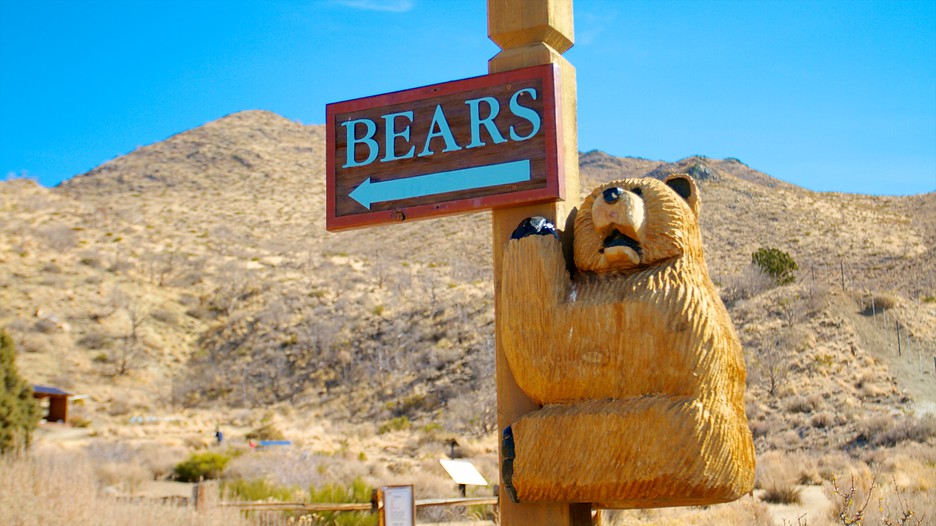 Animal Ark in Reno, Nevada Expedia