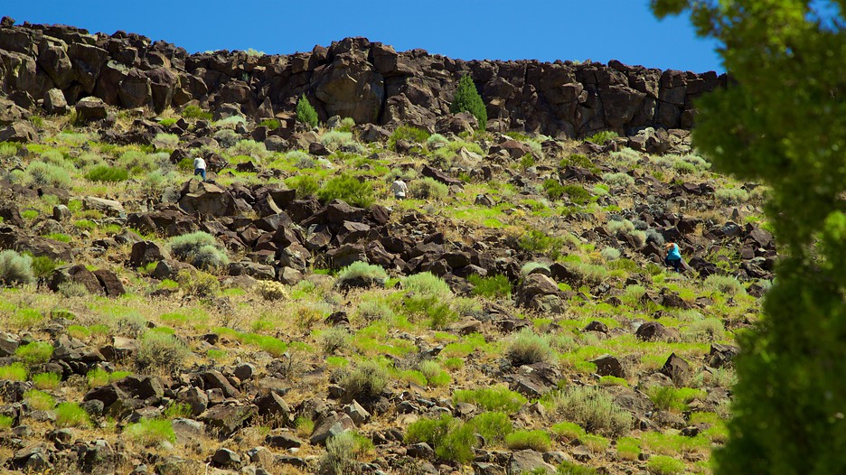 Gambling age in reno nv nevada Gambling age in reno nv nevada