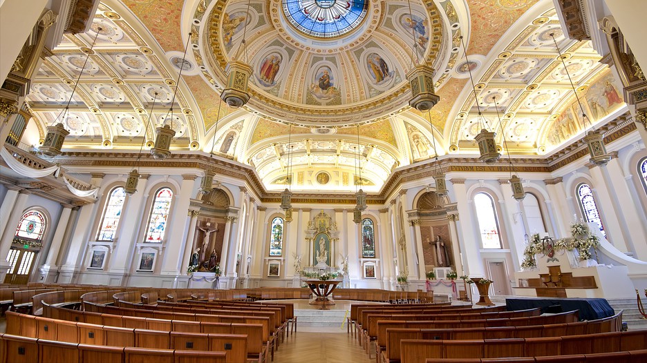 mount saint joseph online hookup & dating Find women seeking men listings in st joseph, mo on oodle classifieds join millions of people using oodle to find great personal ads women seeking men in st joseph, mo (1 - 15 of 39. mount saint joseph online hookup & dating Find women seeking men listings in st joseph, mo on oodle classifieds join millions of people using oodle to find great personal ads women seeking men in st joseph, mo (1 - 15 of 39.