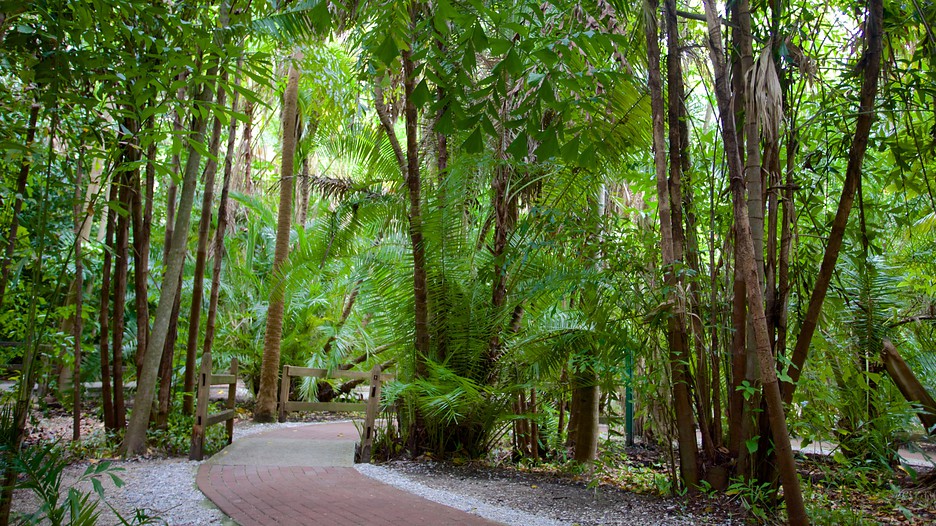 Jungle gardens sarasota fl coupons