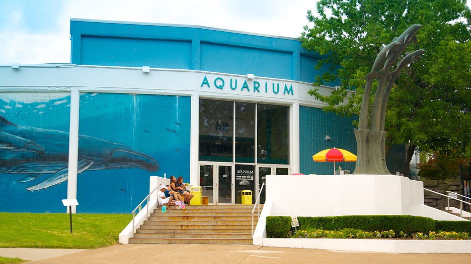 Aquarium of Niagara in Niagara Falls, New York Expedia